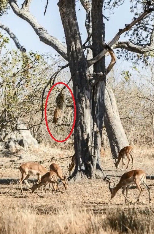 ���µ�����Ի�����Ϯ��Ȼ��֪