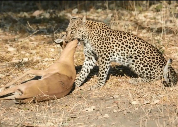 �����ſ���ס�������֮�������ء�