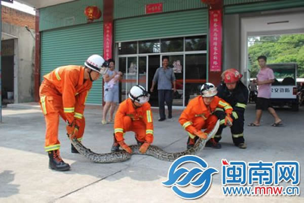 ����������Լ3�ף����������Ա��С��һ����