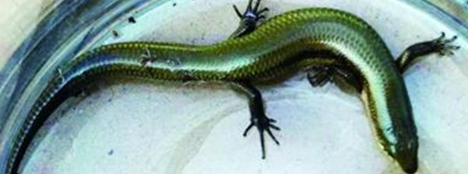 ɽ���ൺ�����ܱ����������ʯ����