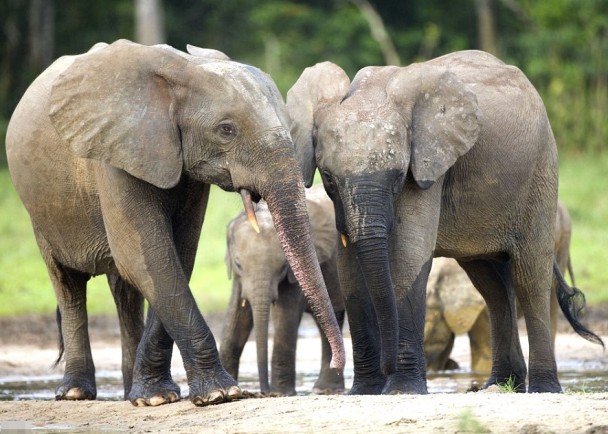 Ұ��������Ŀ��12�����Ѽ�����60%