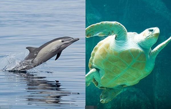 �������ද���⣬������������Ǻ���(��)����Ƥ��(��)�����಻�ϼ��١�