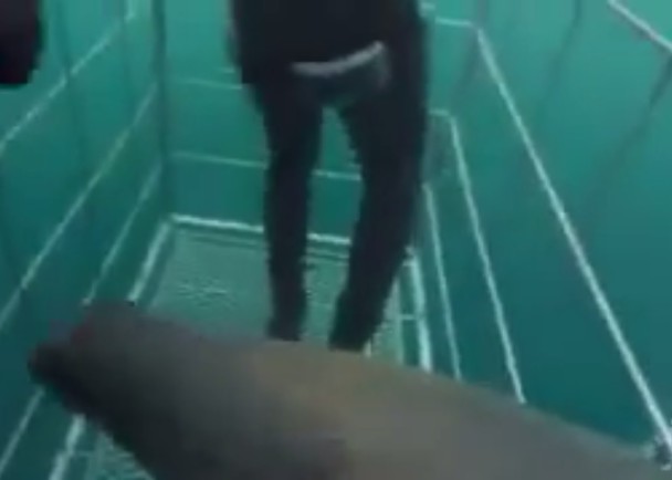 С����Ϊ�ӱܲ����������������