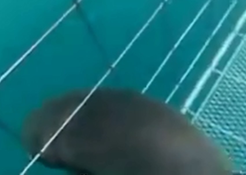 �����������񣬶������á�