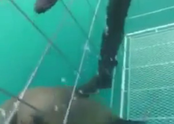 ǱˮԱ����һ�ߣ����˳���뿪��