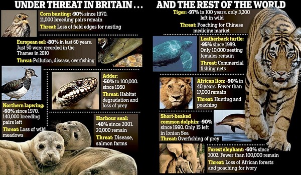 ������Ȼ�����2014�ꡰ�������������桱��ȫ��Ұ�����������ڽ�40������ʧһ��