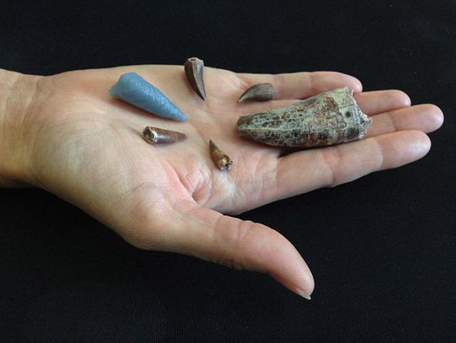 Ϊ���о�Ƕ������е����ݣ�ͬʱ���𻵹����������о���Աʹ�ü�����ϲ�ɨ������������3Dģ�ͣ�ͼ�С���ɫ���ݡ���