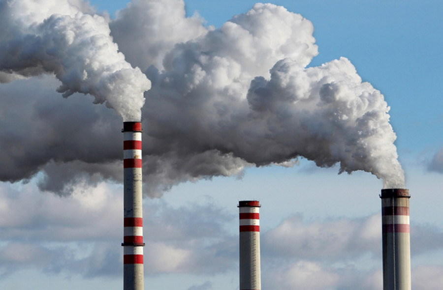 超级生物固有“自杀时钟”