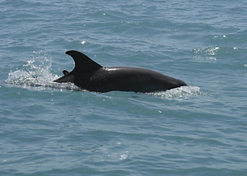 5��Ӿ�ͱ�һ���������Ժ���Χ��