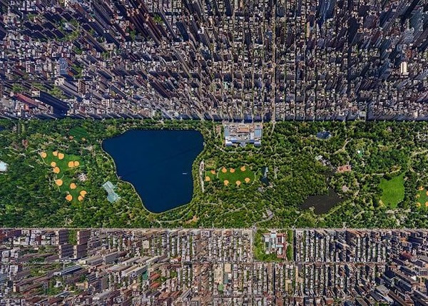 纽约中央公园竟是全球其中一个生态藏宝库