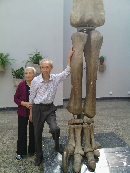 到自贡恐龙博物馆亲手摸1.6亿年前的恐龙化石