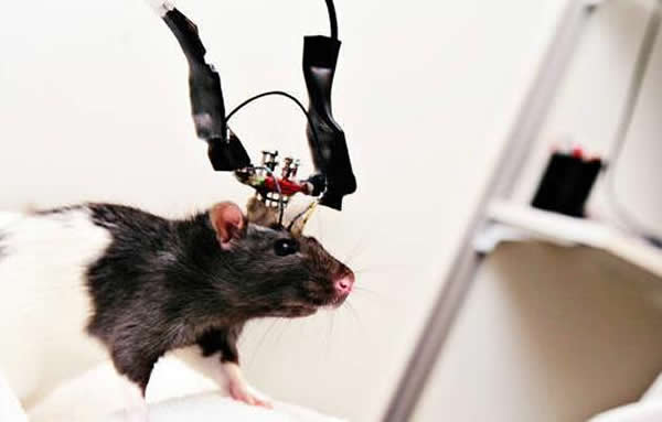 Ī򸾵ŶĴڷһֶλϸ