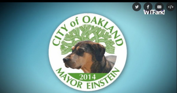 ������Ȯ������˹̹��Ҫ��ѡ���ݰ¿����г�