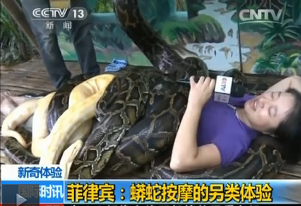 央视女记者亲身体验东南亚“巨蟒按摩”
