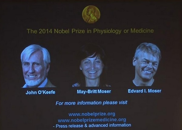 委员会在屏幕上公布3名得奖者资料