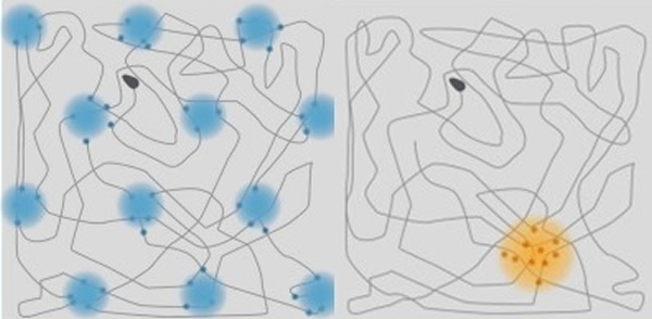 3人因发现位置细胞(右)及网格细胞(左)而获奖。