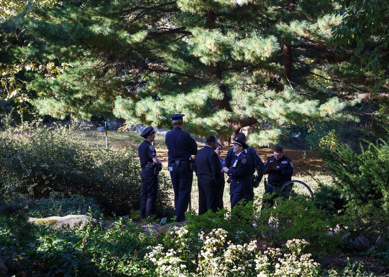 ��Ա��С�ܷ�ʬ�ֳ�����