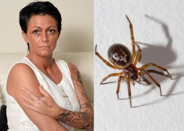 Ӣ��Ů�ӱ��ٺڹѸ�֩��ҧһ��������ָ����