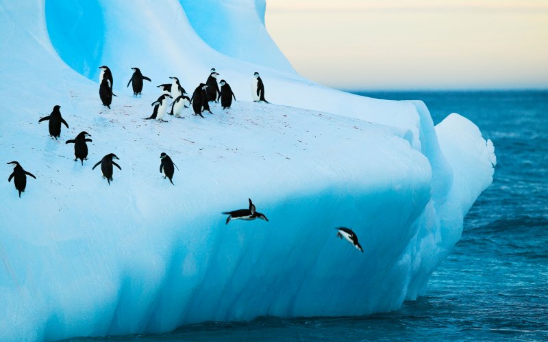 �ڱ�ͬʱ���ϼ������½�