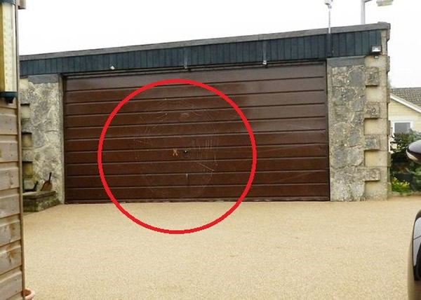 英国蜘蛛车库前织巨网