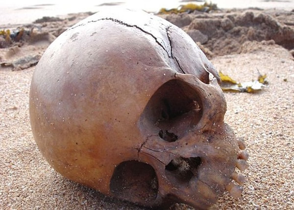 ���ǧ��Сͯͷ����6��ǰ������