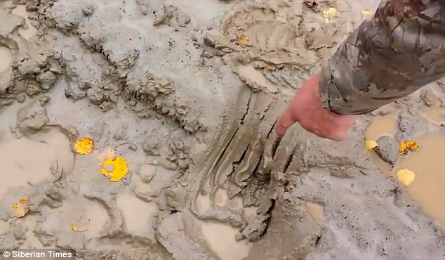 ���ܵĸ������������˺󽫸��س�˺�ɷ���