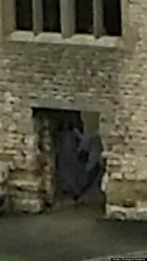 英国闹鬼的达德利城堡拍到传说中的灰夫人身影