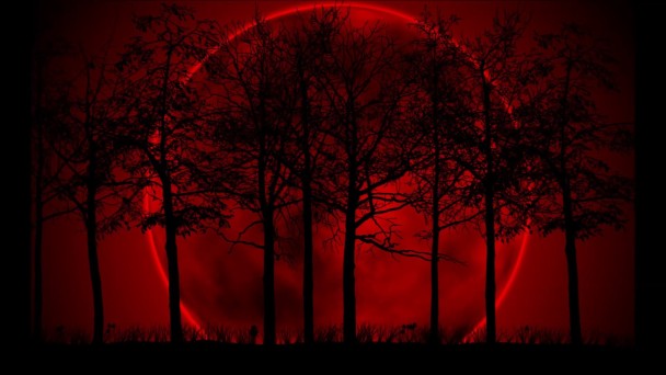 10��8��һ��������Ŀ������������ȫʳ