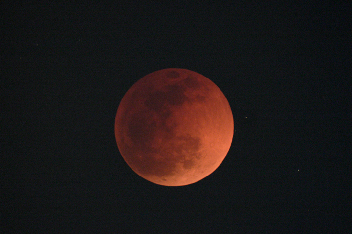 2007��8��28����ȫʳ����ͼƬ�ṩ��̨����������֣�