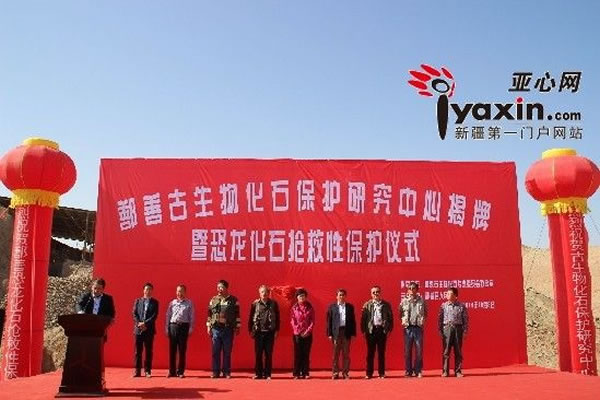 中国首个古生物化石保护研究中心在新疆鄯善成立
