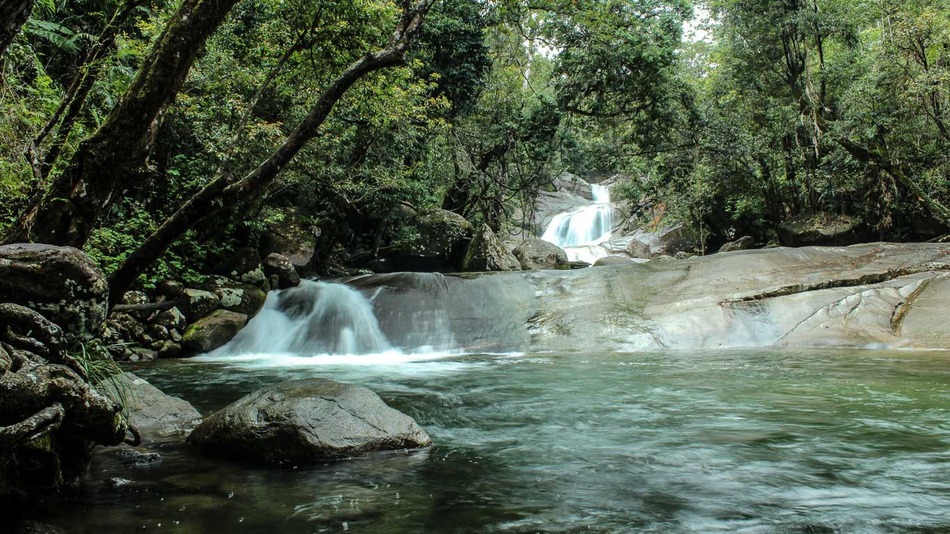 ����һŮ��ɭ����ʧ17�쿿�Գ��Ӻ�������