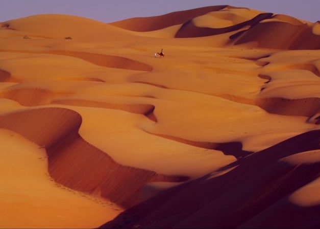 Google街景新增沙漠 骆驼背相机拍摄 - 神秘的