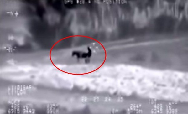 ���˻��ĵ���˹����ISսʿ��¿�Ӻ���