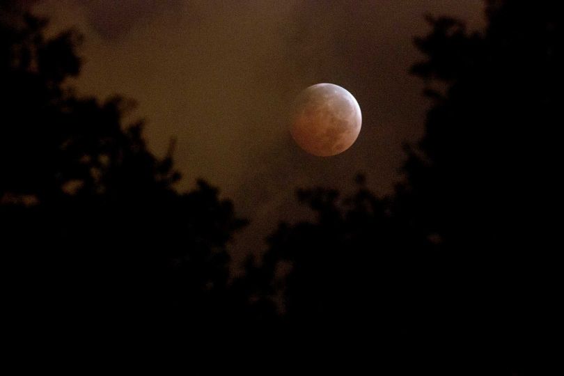 ������ȫʳ����������Ӱ�µ�ħ��Ѫ��