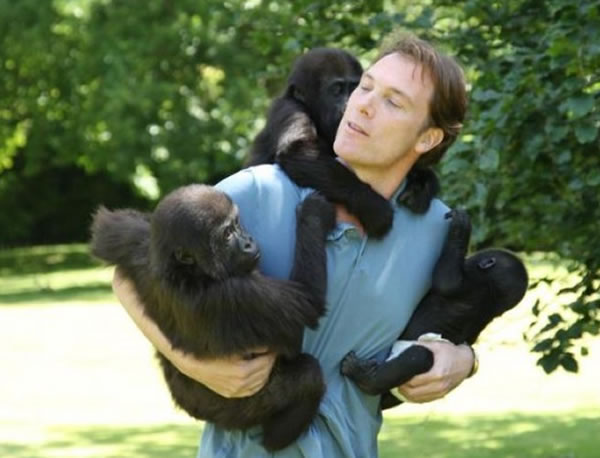 Ӣ��һ��������Ŀ����Ǹ��������� ���ս����ǷŹ���Ȼ