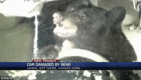 �����������������������ס �����ȡ���ȡ�