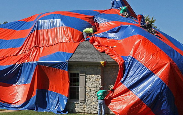 这栋被红蓝帆布包围的,就是特罗斯特夫妇曾经居住的地方,这里最多曾有6000只蜘蛛。