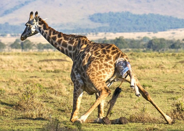 ����¹����������ñ�����ȫ����