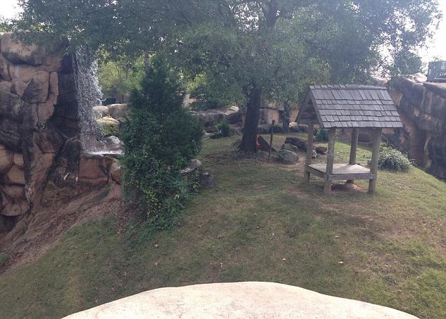 美国阿肯色州3岁男童堕动物园美洲豹穴 遭袭击重伤