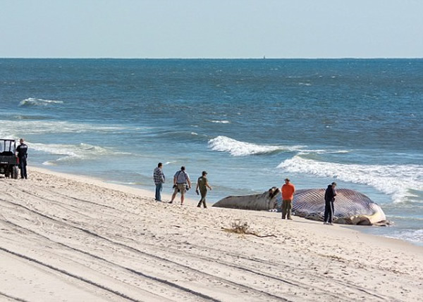 ר�ҽ����в��ԣ���ȷ��������