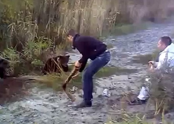 醉汉拿出铁管接近黑熊,友人(右)则在旁“观战”。