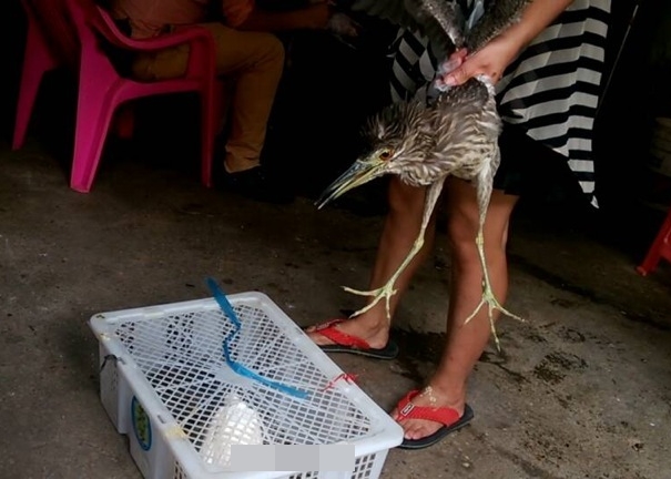 ҹ�ر��̼�ץ��׼���Ž���ˮͰ���̡�