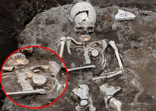 骸骨的胸口位置插着一根铁棒(红圈)