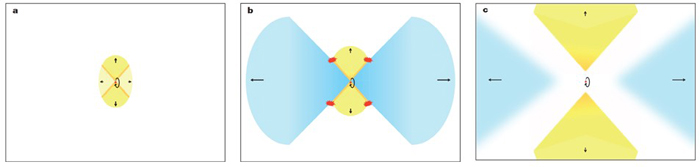 ͼ2�������������ṹ���ݻ�ģ�ͺ͸���٤�������γɻ���ʾ��ͼ��˫�ǻ��ƹ��ƽ������߷���ƽ�С���ɫ�����Ⱥ˷�Ӧ��������������ʣ���ɫ���򣺰װ����Ƿ磻��ɫ����