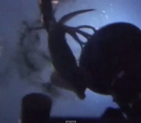 ��������������ɫ��ƽ��֯Ǳͧ