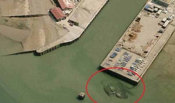 Ӣ���������־������з��