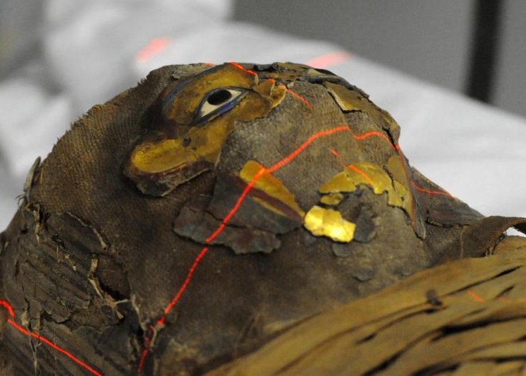 ��ľ����Ů��������ɨ�����