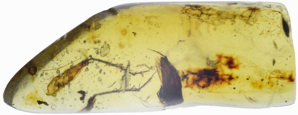 ��������еĶ���󮻯ʯ