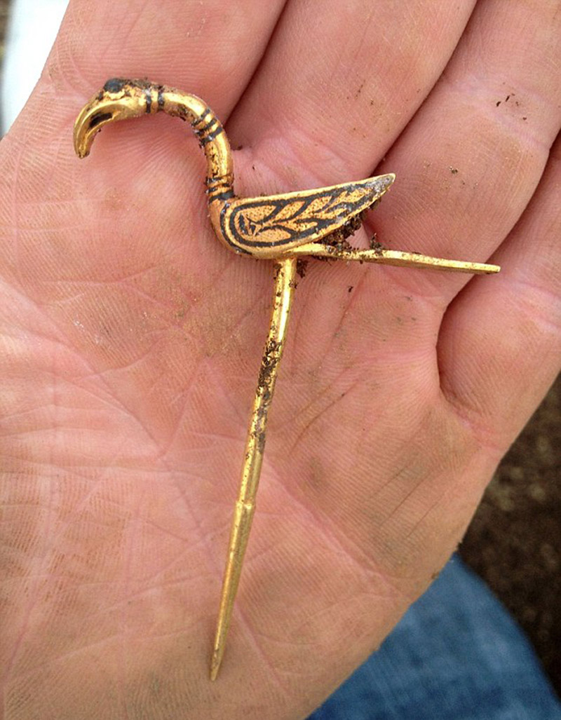 ͼΪ��η��ֵ�һ֧���룬���ո������˼������͡�