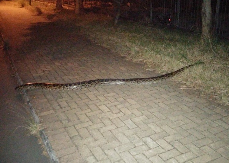 ��¶�۳������ߣ��ŵ�����Ʋ��ҵ������ܲ���̤������